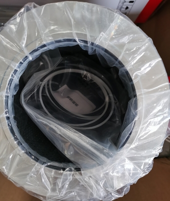 60101257 Filtro P0-CO-01-01030 per macchina pesante SANY