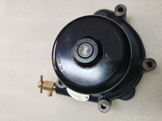 60016107 Pompa idraulica Assy D20-000-30 S00016322+03 Pezzi di ricambio originali