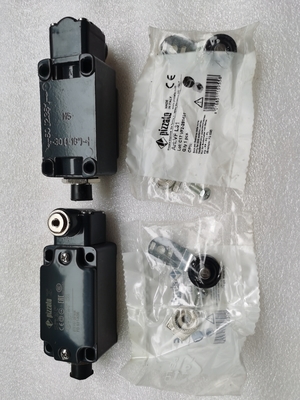 60117974 pezzi di ricambio per gru cingolata GY-S-1NO+1NC-75 LimitSwitch